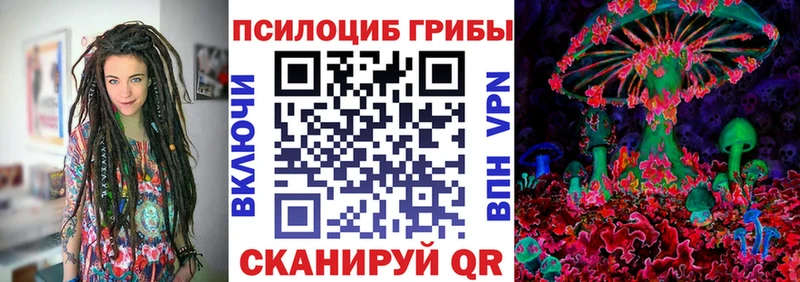 наркотики Куртамыш Псилоцибиновые грибы Cubensis